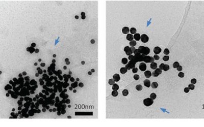 New Publication in Nanoscale